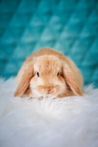 erik-jan-leusink---SDX4KWIbA-unsplash